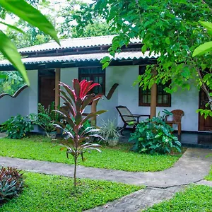  Lodge Nimsara