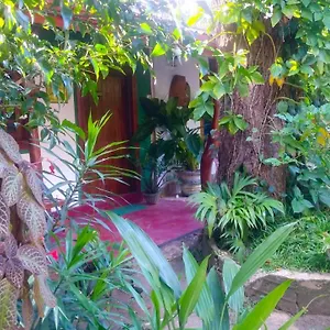 Gangula Eco Sigirîya