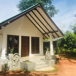 The Wild Culture Sigirîya
