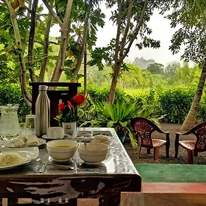 Palace View Homestay