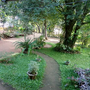 Sigiri Neo Homestay