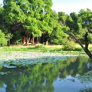 Back Of Beyond - Wild Haven Sigirîya